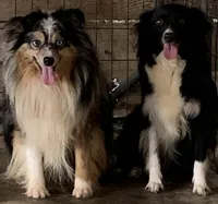 processed/cbfd05be-fe68-45ce-9bf3-b7c398043d69/listing/1b5a0bb9-c1c5-4697-bc7c-2ddfc46be968/e9b0bf4a-7293-4a3e-862f-832e18e2e328