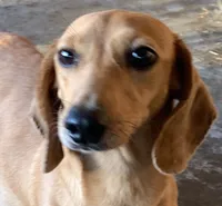 processed/cbfd05be-fe68-45ce-9bf3-b7c398043d69/listing/22c7f04d-74bc-4734-875d-6b9030cad15e/1f6c0ce8-b375-4ff7-ae86-9aa564f12325