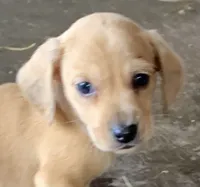 processed/cbfd05be-fe68-45ce-9bf3-b7c398043d69/listing/22c7f04d-74bc-4734-875d-6b9030cad15e/216b8b3e-14ab-4e9e-b9e9-4aef4418beab