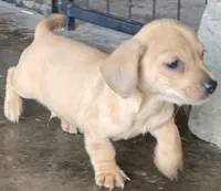 processed/cbfd05be-fe68-45ce-9bf3-b7c398043d69/listing/22c7f04d-74bc-4734-875d-6b9030cad15e/39d67112-5cf1-4319-8769-c50e52cbccdc