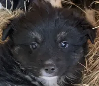 processed/cbfd05be-fe68-45ce-9bf3-b7c398043d69/listing/6fda87dd-0ebf-4725-adb1-7356ac9ed7ba/1b68bb45-2e0c-47ec-98a4-127eb4785fc2