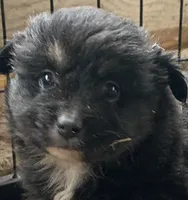 processed/cbfd05be-fe68-45ce-9bf3-b7c398043d69/listing/6fda87dd-0ebf-4725-adb1-7356ac9ed7ba/a300028a-aeec-48a8-b614-b0847147c50d