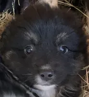 processed/cbfd05be-fe68-45ce-9bf3-b7c398043d69/listing/6fda87dd-0ebf-4725-adb1-7356ac9ed7ba/f5675c7c-020e-433e-a616-690d71838538