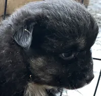 processed/cbfd05be-fe68-45ce-9bf3-b7c398043d69/listing/6fda87dd-0ebf-4725-adb1-7356ac9ed7ba/fa2c36ef-4c2d-4c37-9841-3ad1b8e20fed