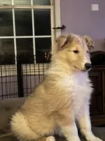 processed/cc1e3845-0b51-40d1-b117-fabfe60145bf/listing/42a34597-5558-459b-8338-f0151ea1680c/14431841-b14b-43d6-8f54-dd968ec12c28