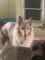 processed/cc1e3845-0b51-40d1-b117-fabfe60145bf/listing/42a34597-5558-459b-8338-f0151ea1680c/1bf9671d-1bf7-41f4-ba90-8db108bff454