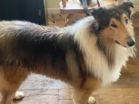 processed/cc1e3845-0b51-40d1-b117-fabfe60145bf/listing/42a34597-5558-459b-8338-f0151ea1680c/54e13ea1-6df1-4a77-9984-fd4def33b575