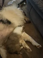 processed/cc1e3845-0b51-40d1-b117-fabfe60145bf/listing/42a34597-5558-459b-8338-f0151ea1680c/d3575c5b-54fd-4023-8abe-598f26939fef