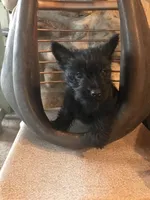 processed/cc20856b-b699-47c6-8468-ac1c486fff43/listing/27b07d4b-113a-4b2d-a5d3-ff5e0d65fad7/ba29d646-bb91-48a8-abf4-4b5bc268265c