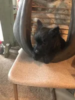 processed/cc20856b-b699-47c6-8468-ac1c486fff43/listing/27b07d4b-113a-4b2d-a5d3-ff5e0d65fad7/e7f9b763-491f-4372-9b92-e3cea4b89130