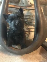 processed/cc20856b-b699-47c6-8468-ac1c486fff43/listing/e56fe59f-356c-4e9f-97cf-dbef85e6c20a/83979673-be30-4534-ace0-89c1e3787bf7