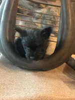 processed/cc20856b-b699-47c6-8468-ac1c486fff43/listing/e56fe59f-356c-4e9f-97cf-dbef85e6c20a/9d4c3d35-6636-417c-baf4-c6609793645b