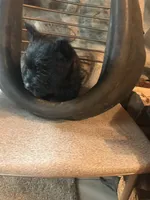 processed/cc20856b-b699-47c6-8468-ac1c486fff43/listing/e56fe59f-356c-4e9f-97cf-dbef85e6c20a/a7e82f46-af4c-42f8-a158-db85575e3f80