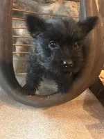 processed/cc20856b-b699-47c6-8468-ac1c486fff43/listing/e56fe59f-356c-4e9f-97cf-dbef85e6c20a/d043214a-9aae-4e0e-a272-a725efa19237