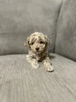 processed/cc2368a3-a7a5-4c37-89bf-662e216260e3/listing/11826b87-dfbd-48b5-a9a1-5c005af68da4/1ffe95e7-927c-44a0-8b4e-a08f68f30d9b