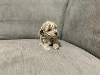 processed/cc2368a3-a7a5-4c37-89bf-662e216260e3/listing/11826b87-dfbd-48b5-a9a1-5c005af68da4/e87d3304-bc96-42c4-a59a-64e741a0234f