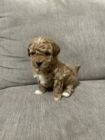 processed/cc2368a3-a7a5-4c37-89bf-662e216260e3/listing/ab77d348-1a61-4554-ae74-69d4abdda47c/74f373a5-1436-42dd-8dfe-6ce2deb98a68