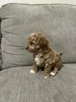 processed/cc2368a3-a7a5-4c37-89bf-662e216260e3/listing/ab77d348-1a61-4554-ae74-69d4abdda47c/96fcda4b-3b70-435d-8f60-95ec5def4627