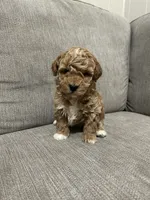 processed/cc2368a3-a7a5-4c37-89bf-662e216260e3/listing/ab77d348-1a61-4554-ae74-69d4abdda47c/d6ddec22-64c3-41b9-b43b-6b9b9ff4abae