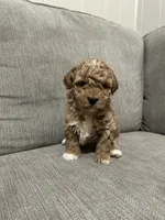 processed/cc2368a3-a7a5-4c37-89bf-662e216260e3/listing/ab77d348-1a61-4554-ae74-69d4abdda47c/f0f72956-5357-4c42-9feb-750eba860121