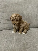 processed/cc2368a3-a7a5-4c37-89bf-662e216260e3/listing/ab77d348-1a61-4554-ae74-69d4abdda47c/fe11fba4-2df4-4b8d-8b0b-2bfdad4a5528