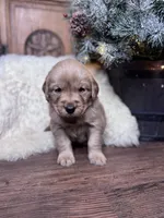 processed/cc256636-60c5-4fde-9d30-7954bc6a9e60/listing/a9489574-1607-4639-b779-6172fae9ebac/174c9988-bada-4777-9157-da09dbb43388