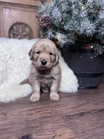 processed/cc256636-60c5-4fde-9d30-7954bc6a9e60/listing/a9489574-1607-4639-b779-6172fae9ebac/7032f426-274e-4df4-af18-09ebde60abde