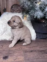 processed/cc256636-60c5-4fde-9d30-7954bc6a9e60/listing/a9489574-1607-4639-b779-6172fae9ebac/cb9f48e1-9c0f-47e0-ae1b-6027ea7c7e29