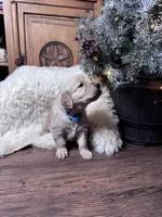 processed/cc256636-60c5-4fde-9d30-7954bc6a9e60/listing/ad2d76de-d1ee-4188-a076-de5a1f05d1df/6e09fc92-d34e-4e47-961b-7925b4c4dbf3