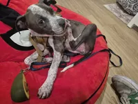 processed/cc31068c-9ca7-419e-b8fa-b51c2bcc58a5/listing/550e884d-2c40-45a3-8c70-1d450fc7df4c/537f0343-0762-48e9-a5c0-fbbede389efd