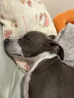 processed/cc31068c-9ca7-419e-b8fa-b51c2bcc58a5/listing/550e884d-2c40-45a3-8c70-1d450fc7df4c/78a332b9-19fc-46f2-a2ec-e815e58f0d29