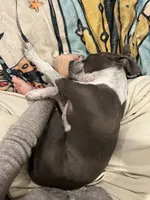 processed/cc31068c-9ca7-419e-b8fa-b51c2bcc58a5/listing/550e884d-2c40-45a3-8c70-1d450fc7df4c/fd6f0c5b-2fe6-4c01-a2f5-047bafe47fc4