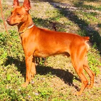 processed/cc3981e1-b02e-4175-b444-8df5a289f032/facility/0fac8451-de2f-4608-a5b7-c437c18b8cb7