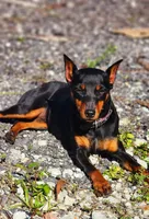 processed/cc3981e1-b02e-4175-b444-8df5a289f032/facility/84f14dc6-c937-4a05-bd2f-567bc668bae6