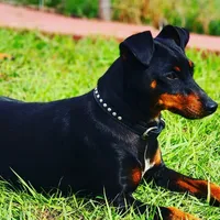 processed/cc3981e1-b02e-4175-b444-8df5a289f032/facility/8ceea558-adc0-4220-8539-11729477f552