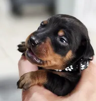 processed/cc3981e1-b02e-4175-b444-8df5a289f032/listing/1126a1cf-d36f-4ee0-af06-aced62eeb9f5/64c30546-979b-4fb6-937c-b72a2545782b