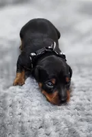 processed/cc3981e1-b02e-4175-b444-8df5a289f032/listing/1126a1cf-d36f-4ee0-af06-aced62eeb9f5/ca7f4c39-bfee-4f17-b32c-f0cbd6af1534