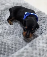 processed/cc3981e1-b02e-4175-b444-8df5a289f032/listing/2bc66551-0692-42ff-a6c0-029e903a070e/6483e40f-216a-4092-b54e-707f8a7f1363