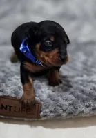 processed/cc3981e1-b02e-4175-b444-8df5a289f032/listing/2bc66551-0692-42ff-a6c0-029e903a070e/8605e2ad-d306-4273-a99e-2d8b634e73e1