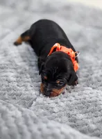 processed/cc3981e1-b02e-4175-b444-8df5a289f032/listing/563bf676-efb5-4d52-b4cb-ae6ec0113972/190615a5-1d08-4a5c-93b5-c21c2b1f7334