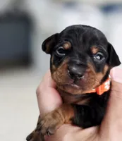 processed/cc3981e1-b02e-4175-b444-8df5a289f032/listing/563bf676-efb5-4d52-b4cb-ae6ec0113972/4ad0fe61-8ad1-49c1-9e5c-6dcbc59c5d4c