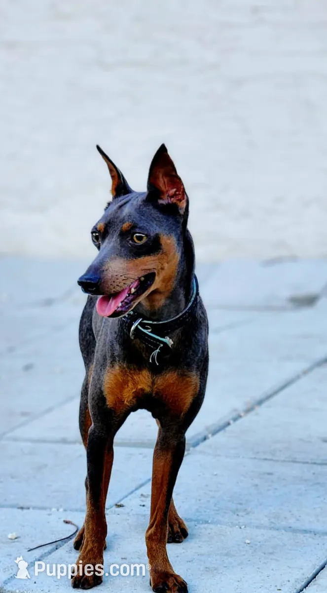 processed/cc3981e1-b02e-4175-b444-8df5a289f032/listing/563bf676-efb5-4d52-b4cb-ae6ec0113972/d644cdc6-b71b-4d63-b3d8-b50a97499e19