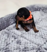 processed/cc3981e1-b02e-4175-b444-8df5a289f032/listing/563bf676-efb5-4d52-b4cb-ae6ec0113972/d86ecb41-6804-410c-845d-58f6cd5ff525