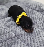 processed/cc3981e1-b02e-4175-b444-8df5a289f032/listing/5cf803cc-a142-4f88-a478-70a3f07513d9/35d572f1-8b51-4fcd-bde3-0f0fc7ce37a9