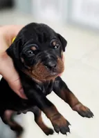 processed/cc3981e1-b02e-4175-b444-8df5a289f032/listing/5cf803cc-a142-4f88-a478-70a3f07513d9/9cffafda-2404-4a34-aeae-ef14d2a9f88f