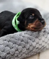 processed/cc3981e1-b02e-4175-b444-8df5a289f032/listing/a3dfd823-fac4-461c-aaae-0d205164852e/8de77304-d7d9-411e-aa50-43cd24e32655