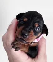 processed/cc3981e1-b02e-4175-b444-8df5a289f032/listing/a88f3a60-d0de-4737-8e83-56731cbf36b9/0b82b8b5-cf65-420f-90b7-7b5f5cf4b04e