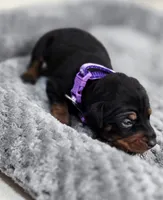 processed/cc3981e1-b02e-4175-b444-8df5a289f032/listing/d0d5670e-5790-4a94-b882-1e65800f5ddc/ab77028d-9169-404e-a90f-1688e0a8fd9d