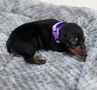 processed/cc3981e1-b02e-4175-b444-8df5a289f032/listing/d0d5670e-5790-4a94-b882-1e65800f5ddc/d4a3588e-1130-4695-a895-4aaac7e7c1e4