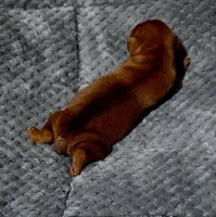 processed/cc3981e1-b02e-4175-b444-8df5a289f032/listing/e0f7e05b-3307-4c22-ac82-2cd6828b7f19/28ace1fc-40a5-4d18-812c-500dae47466e